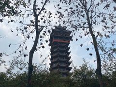 -塔子山公园