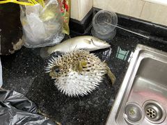 -黄沙水产交易市场