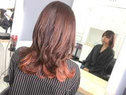 点击看大图 -DL HAIR SALON