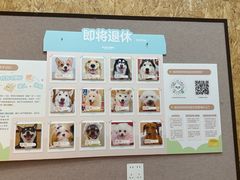 -和它·交个朋友·狗咖猫咖(爱琴海店)