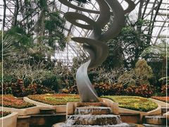 -南山植物园