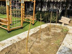 -卓悦童国际幼儿园