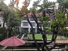 -清迈菩提塞雷纳