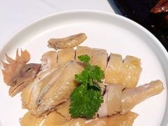 -侨美食家·40年地道粤菜(珠江新城店)