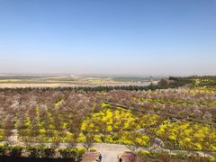 -古柏渡飞黄旅游区