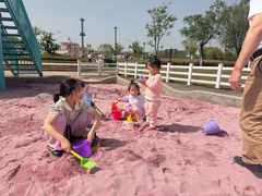 -九龙湖公园