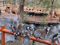 -北京野生动物园