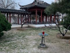 -亮马河饭店翠雅咖啡厅