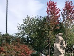 -回龙观体育文化公园