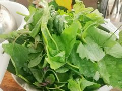 灰灰菜-黔人百味.贵州菜