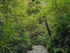 -雀儿山公园