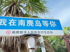 -南麂列岛