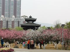 -宝鸡植物园