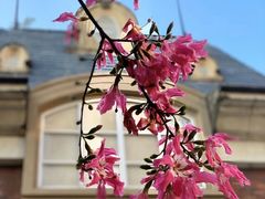 -中旅阿那亚九龙湖·公主酒店