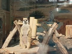 -大连森林动物园