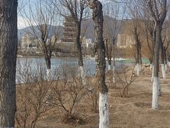 -永定河休闲森林公园