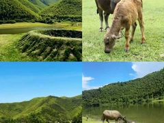 -阿露佳·舌尖上的安吉菜