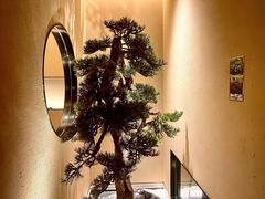 -觅唐MITONG(鸟巢店)