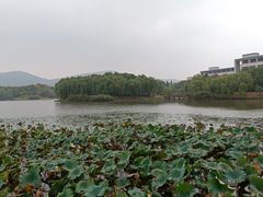 -江南大学(蠡湖校区)