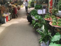 -循礼门鲜花花市(武汉循礼门店)