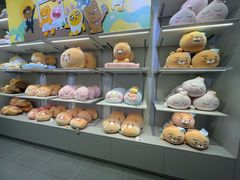 -KAKAO FRIENDS(弘大店)