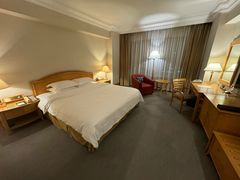 -南京维景国际大酒店(南京博物院店)