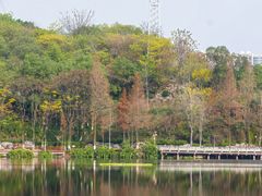-重庆彩云湖湿地公园