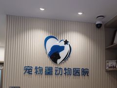-宠物星动物医院·眼科·异宠·猫科(江南大道总院)