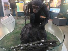 -国家自然博物馆