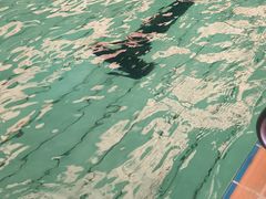 -西南大学（北碚校区）恒温游泳馆