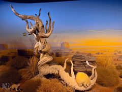 -陕西自然博物馆