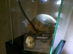 -中华赏石园