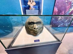 -国家自然博物馆