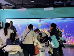 -陕西科学技术馆