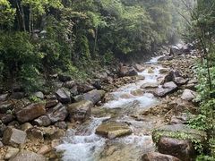 -姑婆山旅游区