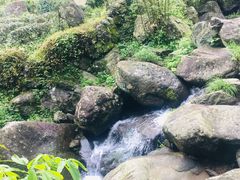 -藏龙百瀑风景区