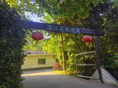 -上海滨江森林公园