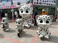 -青藏高原野生动物园
