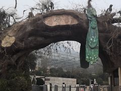 -石老人观光园