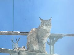 -青藏高原野生动物园