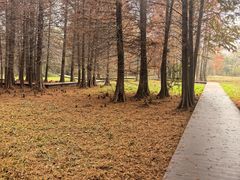 -溱湖国家湿地公园