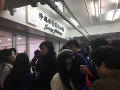 -珍妮曲奇聪明小熊(尖沙咀店)