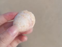 -西涌国际滨海旅游区