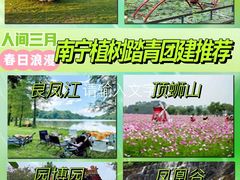 -南宁良凤江国家森林公园