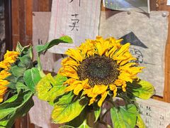 -仙峰天然面包(迎宾路店)