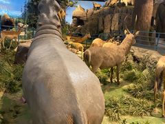 -陕西自然博物馆