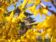 -兰山公园