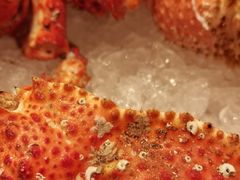 -TABLE·味西餐厅-成都茂业JW万豪酒店