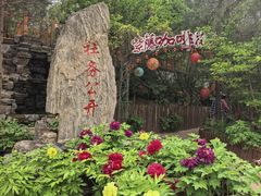 -太阳宫公园