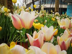 -象王洗衣(青蓝国际店)